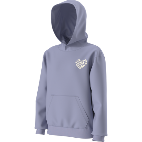 The North Face - Teen G Brand Proud Relaxed Hoodie - Gra - Pale Plum - vista alternativa 2