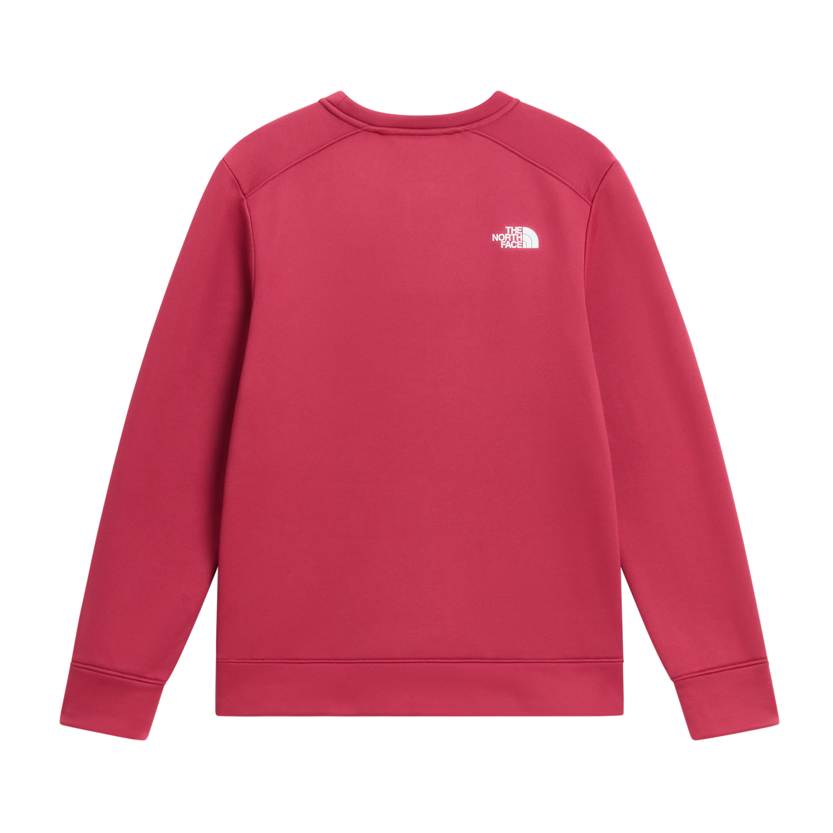 The North Face - Teen Tnf Performance Fleece Crew - TERRMGN/CTRNYLW - vista alternativa 1