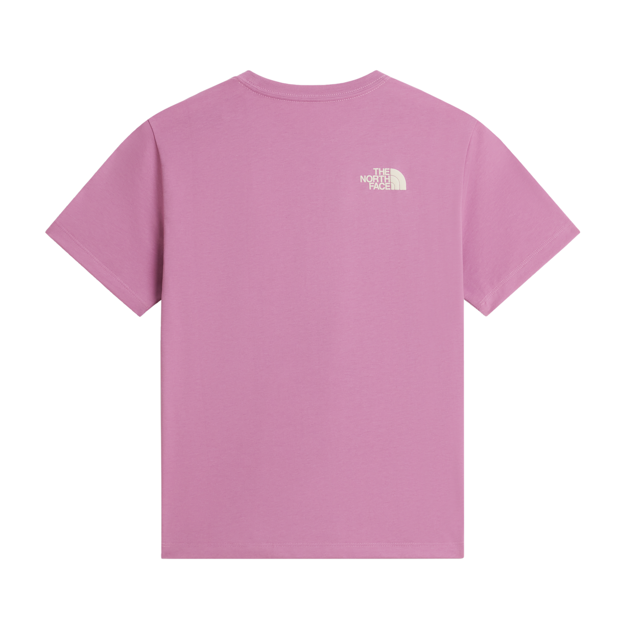 The North Face - Teen G Chalbi Relaxed Ss Tee - Graphic - Hushed Lavender - vista alternativa 1