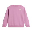 The North Face - Teen G Chalbi Relaxed Crew - Graphic - Hushed Lavender - vista alternativa 1