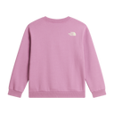 The North Face - Teen G Chalbi Relaxed Crew - Graphic - Hushed Lavender - vista alternativa 1
