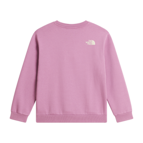The North Face - Teen G Chalbi Relaxed Crew - Graphic - Hushed Lavender - vista alternativa 1