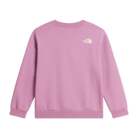 The North Face - Teen G Chalbi Relaxed Crew - Graphic - Hushed Lavender - vista alternativa 1