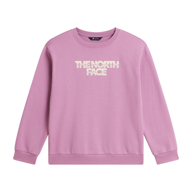 The North Face - Teen G Chalbi Relaxed Crew - Graphic - Hushed Lavender - vista principale