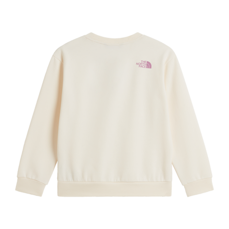The North Face - Teen G Chalbi Relaxed Crew - Graphic - WHITE DUNE - vista alternativa 1