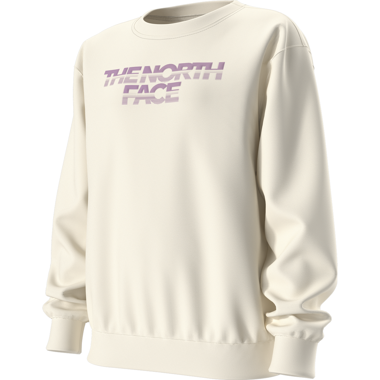 The North Face - Teen G Chalbi Relaxed Crew - Graphic - WHITE DUNE - vista alternativa 2