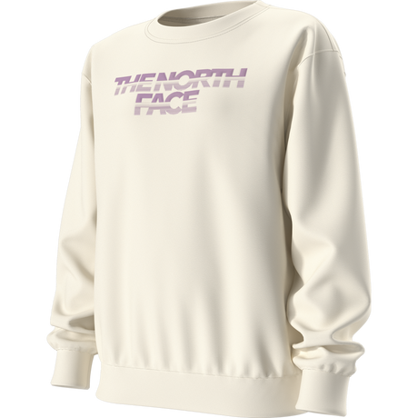 The North Face - Teen G Chalbi Relaxed Crew - Graphic - WHITE DUNE - vista alternativa 2