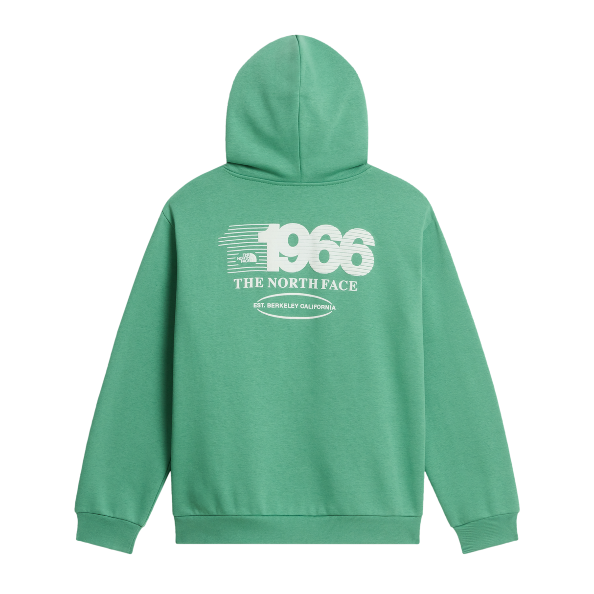 The North Face - Teen Track Relaxed Hoodie - Graphic - Dimmed Algae - vista alternativa 1