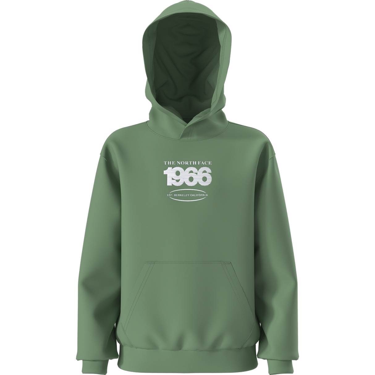 The North Face - Teen Track Relaxed Hoodie - Graphic - Dimmed Algae - vista alternativa 10