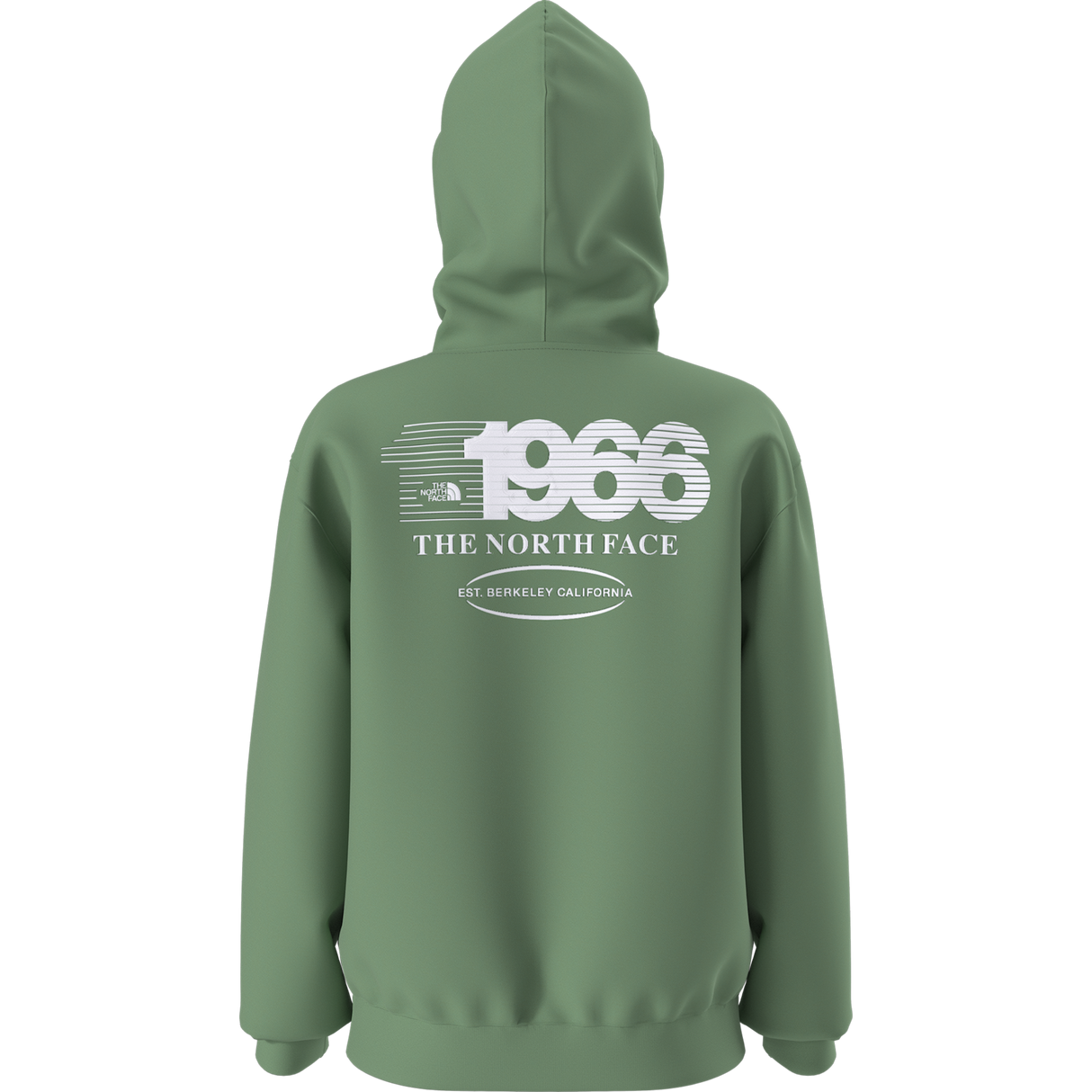 The North Face - Teen Track Relaxed Hoodie - Graphic - Dimmed Algae - vista alternativa 11