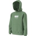The North Face - Teen Track Relaxed Hoodie - Graphic - Dimmed Algae - vista alternativa 12