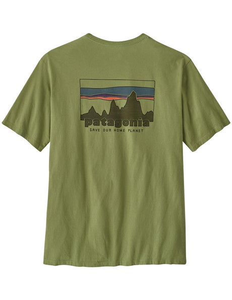 Patagonia skyline organic t-shirt