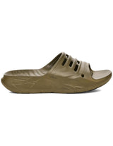 TEVA 1164651DOL