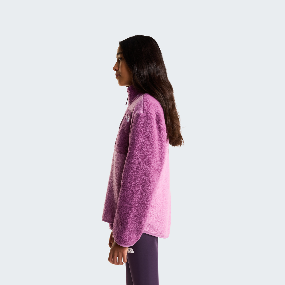 tnf_asset:NF0A8J61K22-ALT2