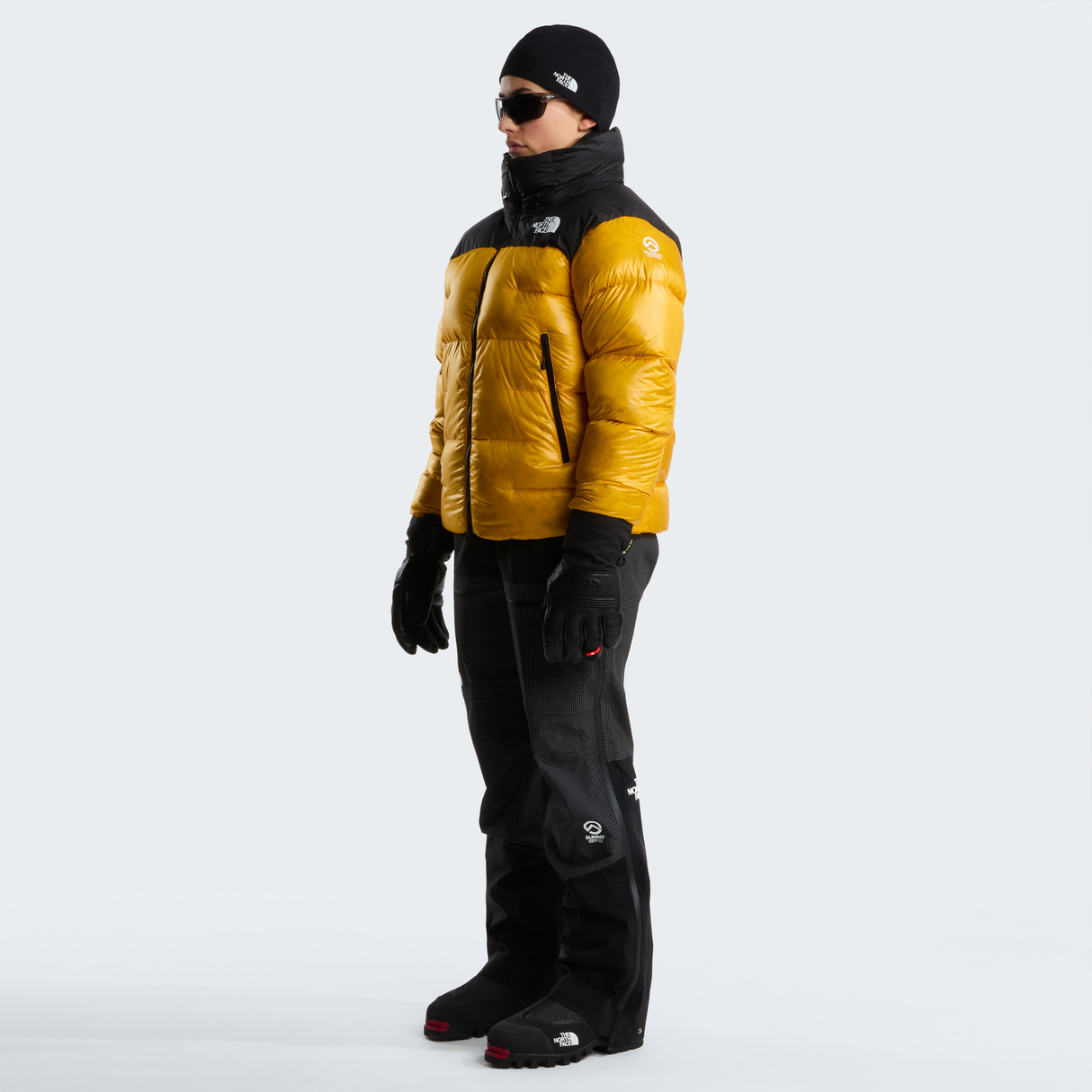 tnf_asset:NF0A8H3EZU3-ALT1