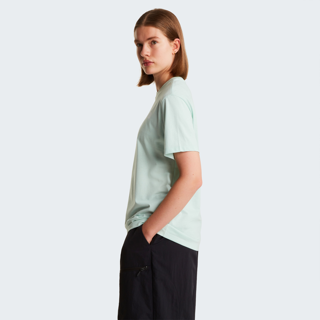 tnf_asset:NF0A8B6WG70-ALT3