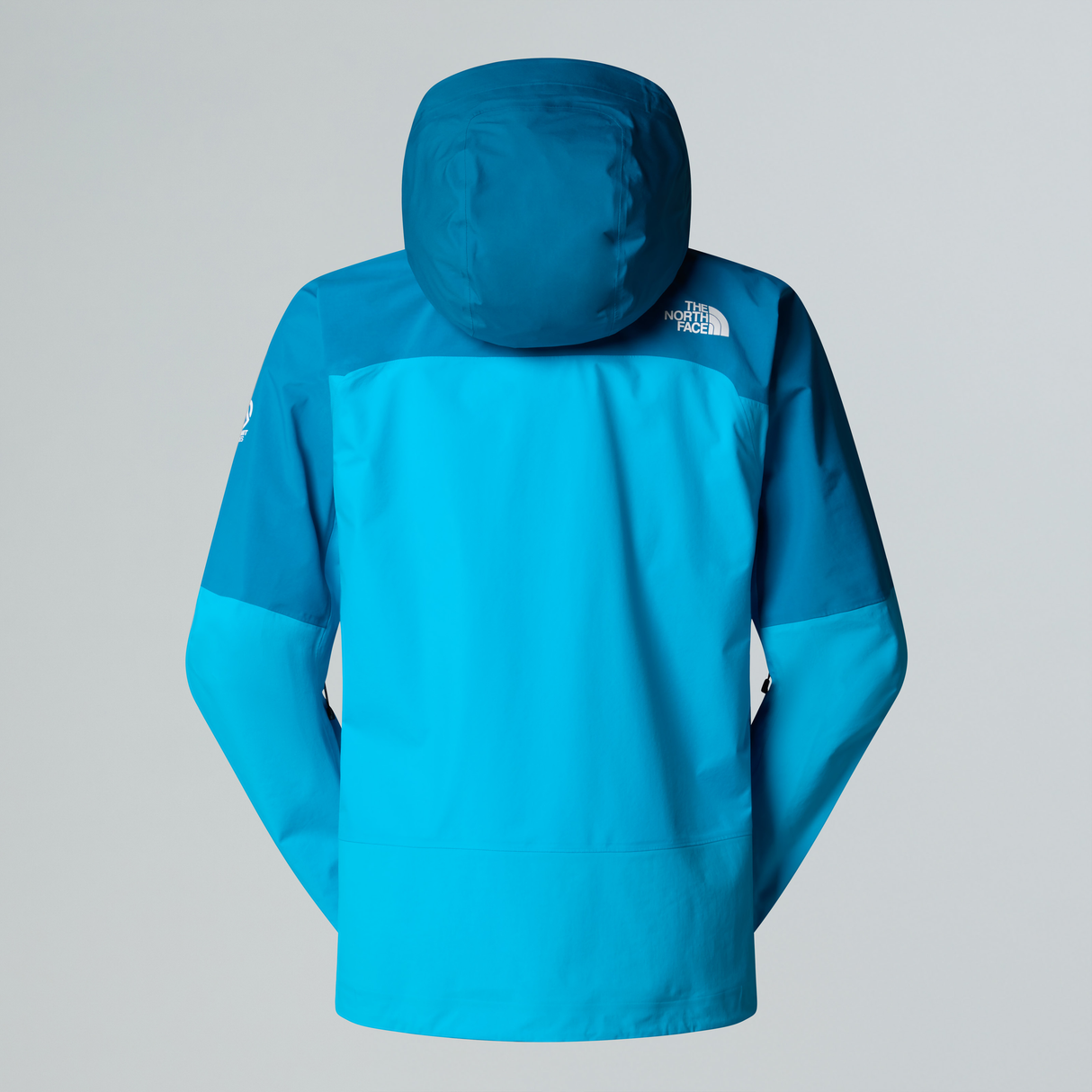 tnf_asset:NF0A8C9AD3P-ALT1