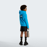 tnf_asset:NF0A89H9D7R-ALT2