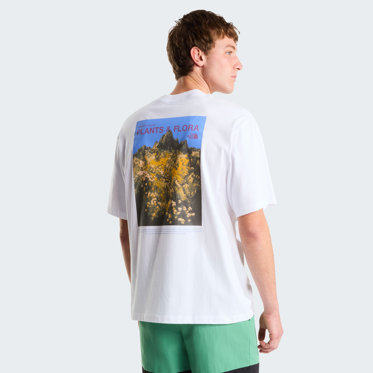 tnf_asset:NF0A8GB3FN4-ALT2