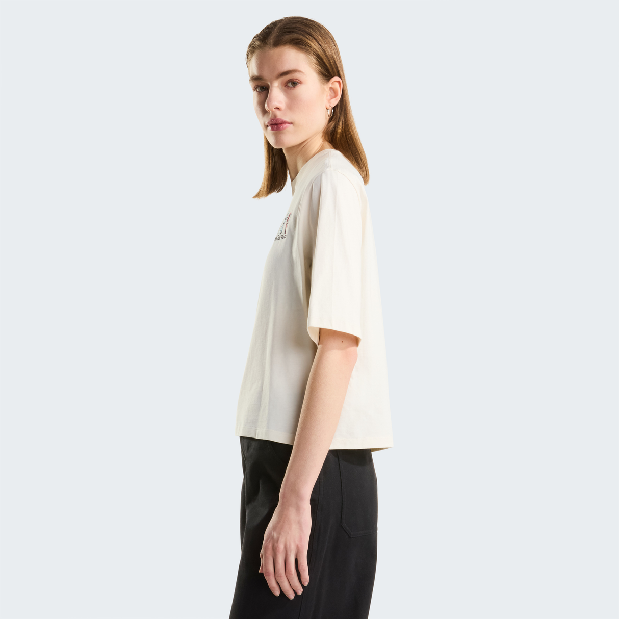 tnf_asset:NF0A8JAPQLI-ALT2