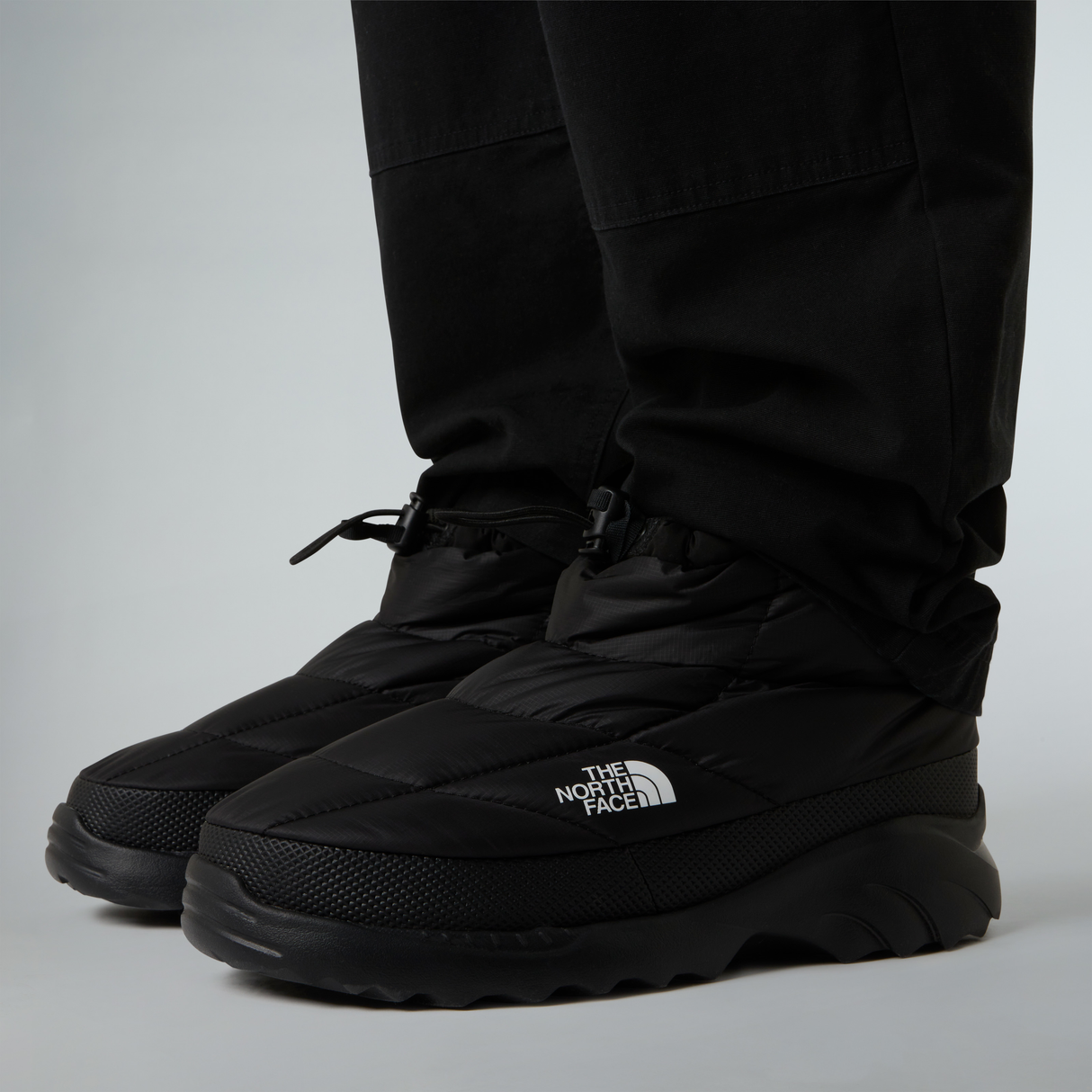 tnf_asset:NF0A8DAAKX7-ALT2