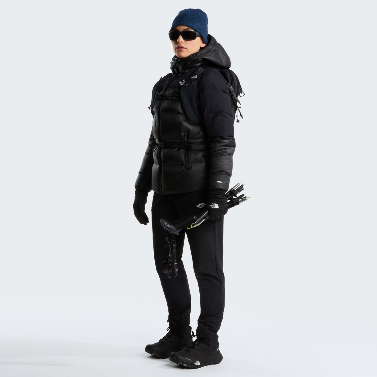 tnf_asset:NF0A8E13PH5-ALT1