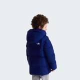 tnf_asset:NF0A88VFNLV-ALT3