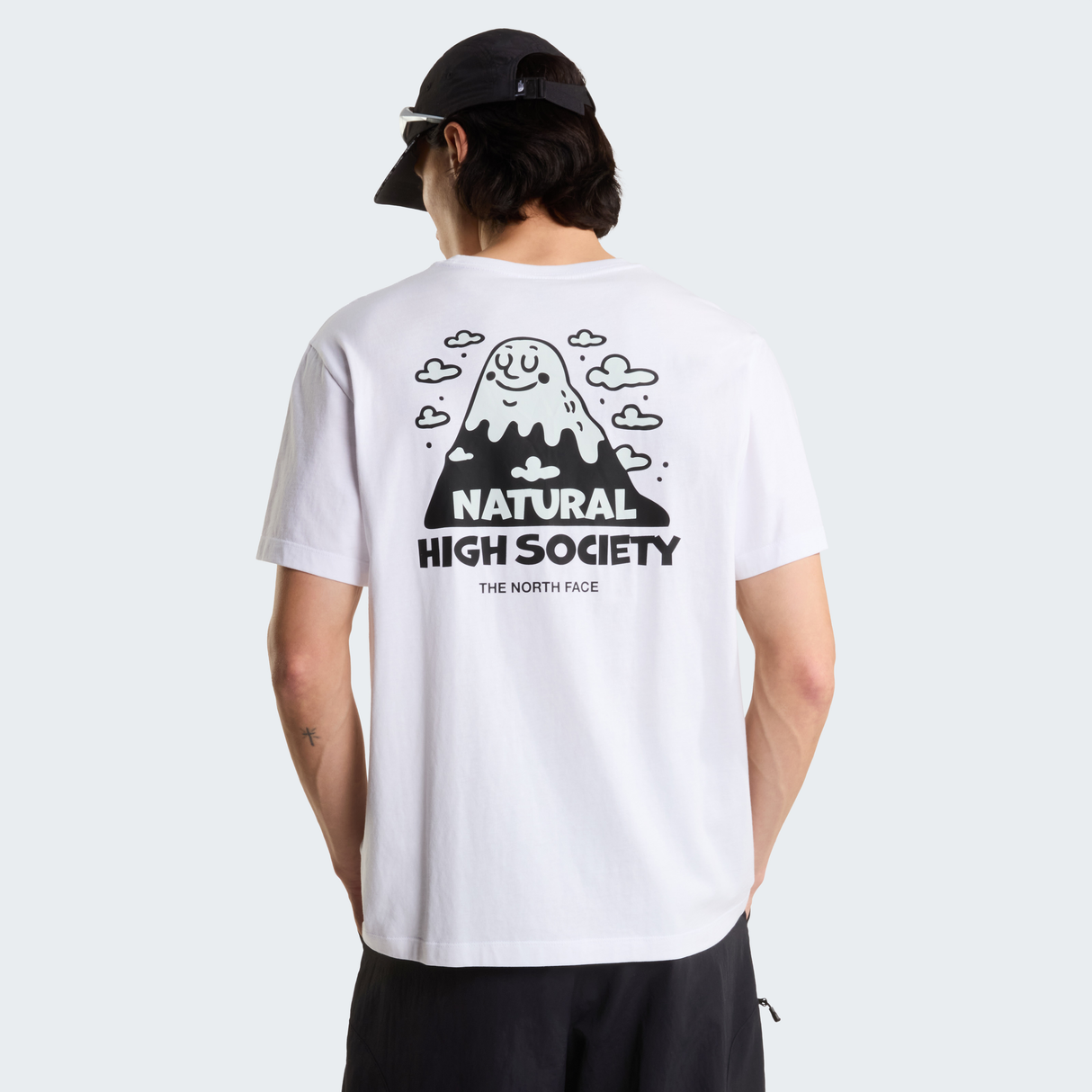 tnf_asset:NF0A8JPQFN4-ALT2