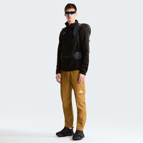 tnf_asset:NF0A8EC6173-ALT1
