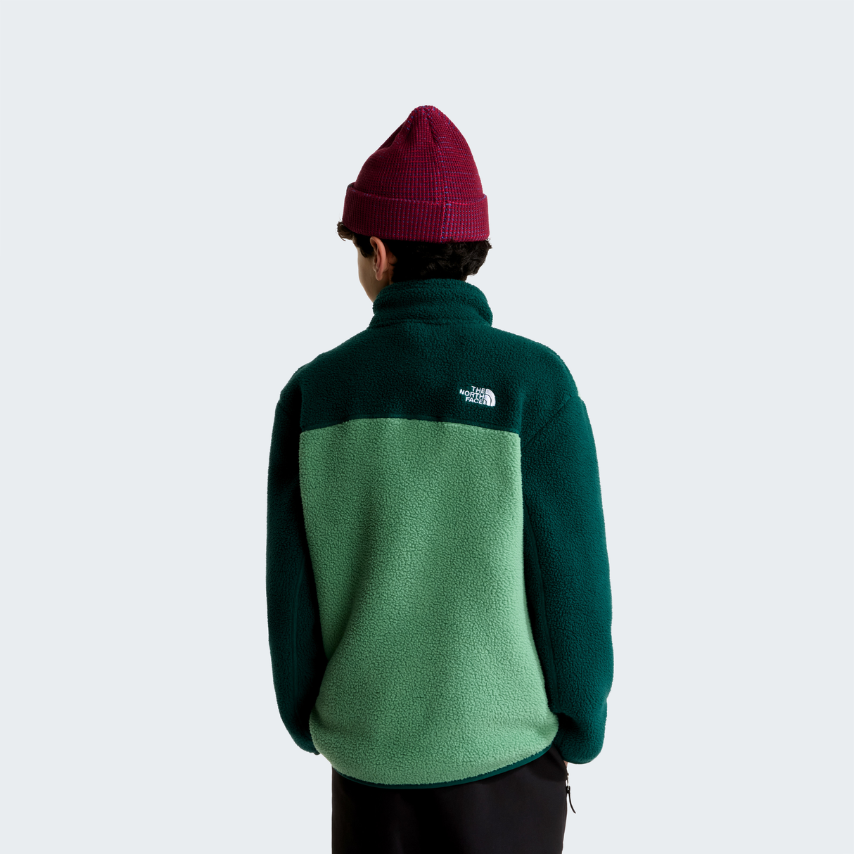 tnf_asset:NF0A8J61JZX-ALT3