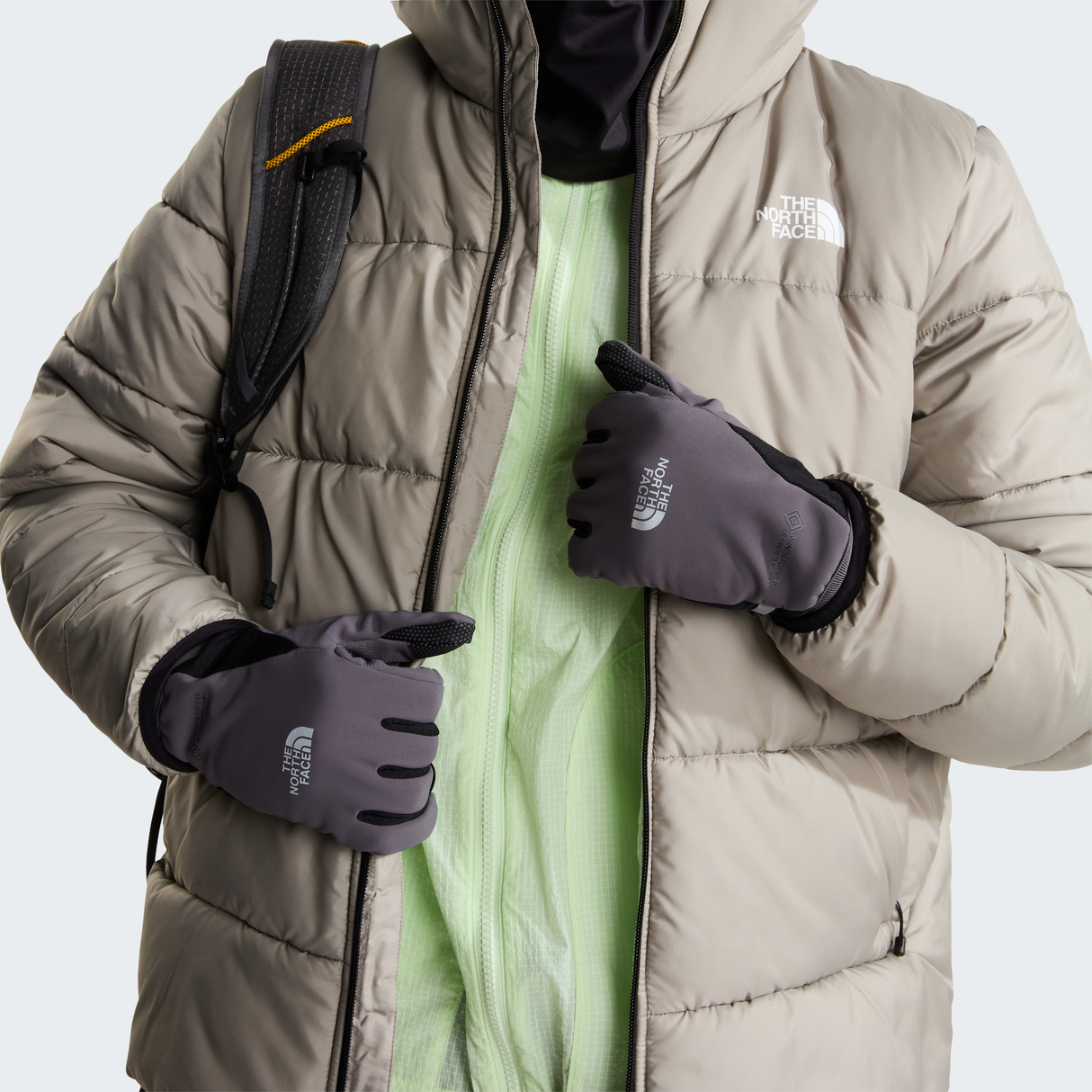 tnf_asset:NF0A8HMWRHI-ALT1