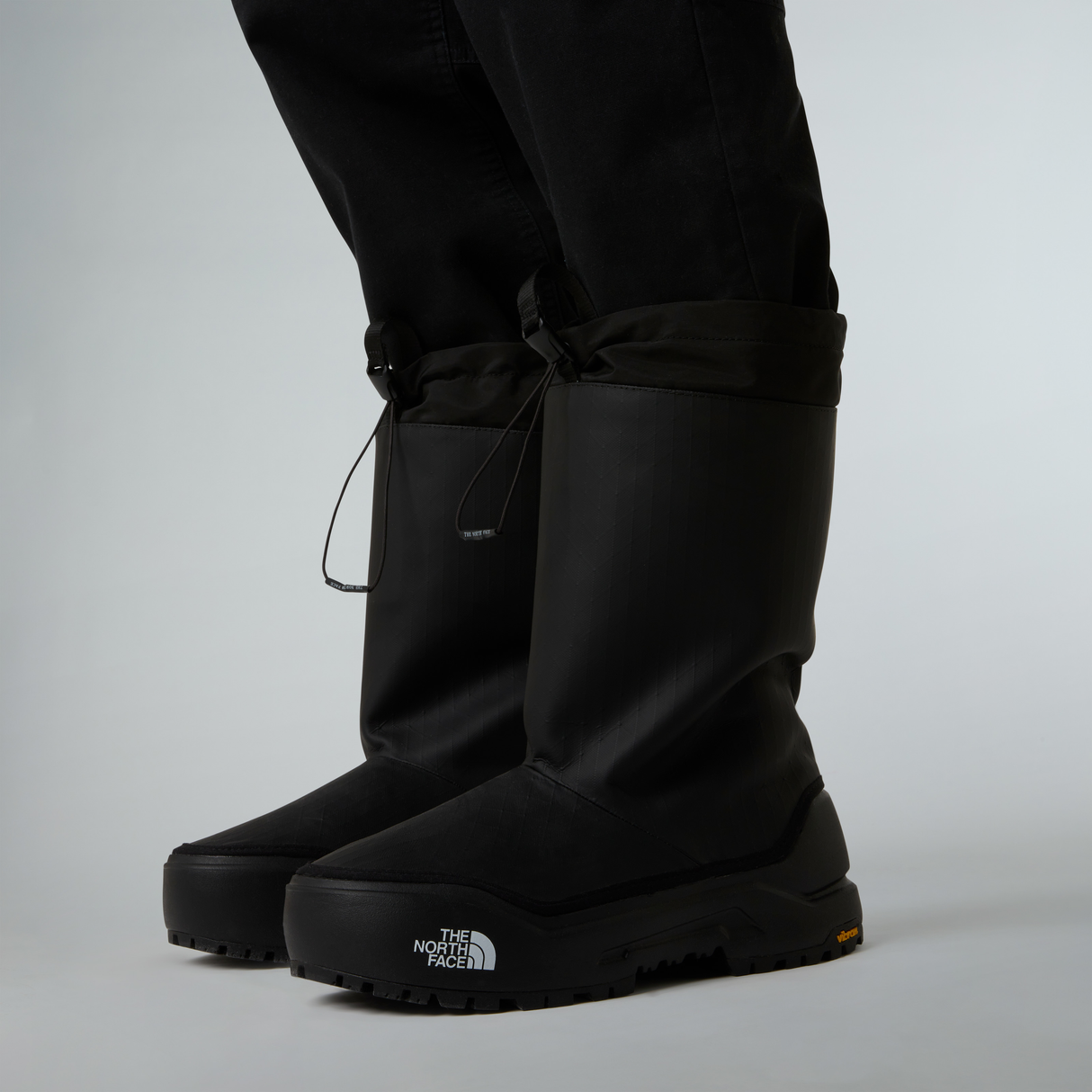tnf_asset:NF0A8D92KX7-ALT2
