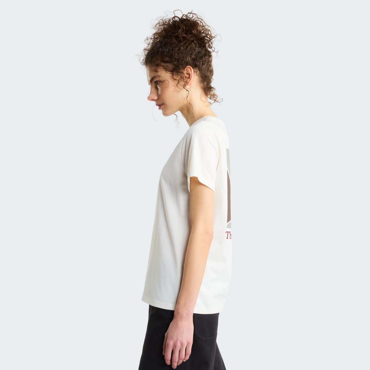 tnf_asset:NF0A8JAWQLI-ALT3
