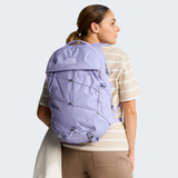 tnf_asset:NF0A52SIXCC-ALT1