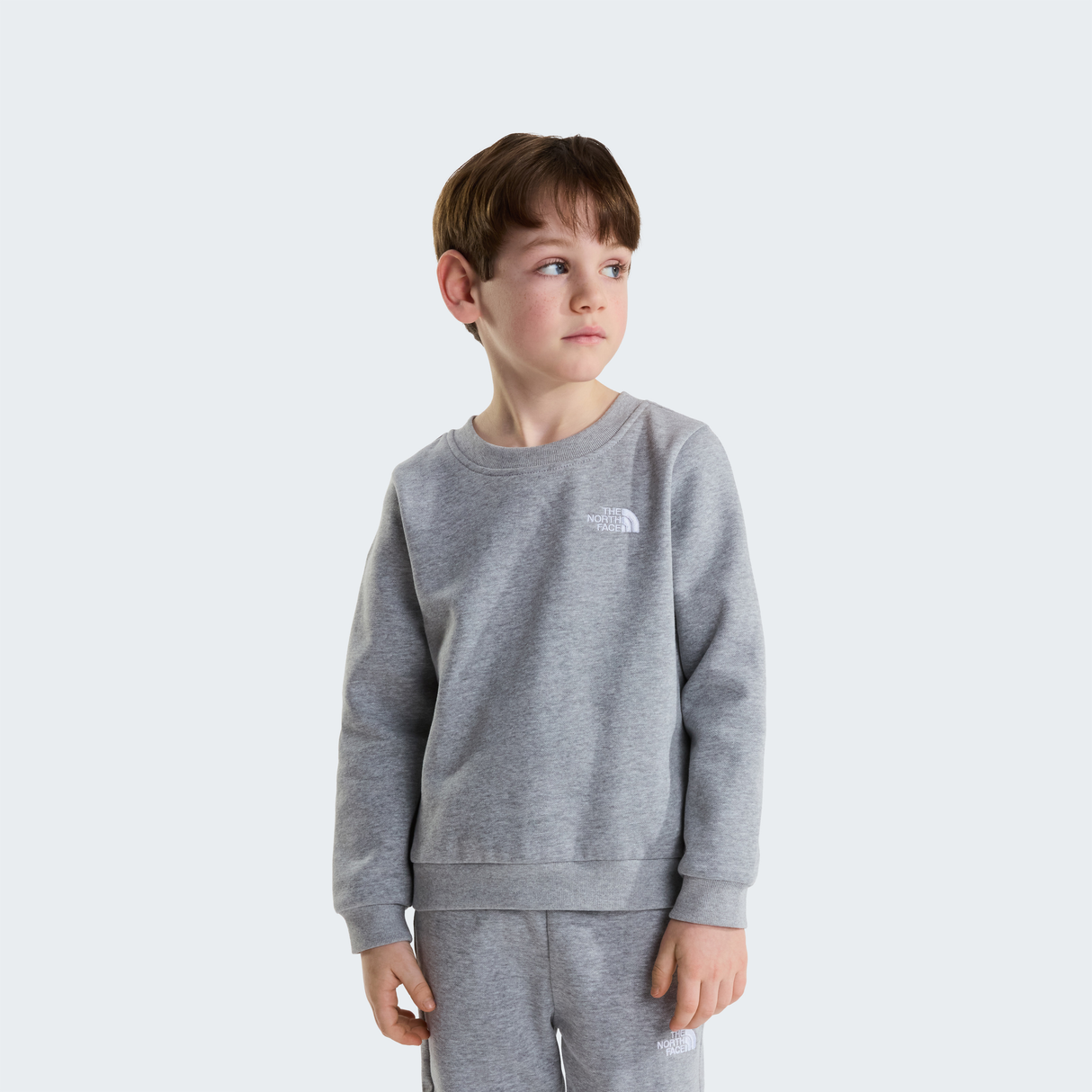 tnf_asset:NF0A8H5CCQO-HERO