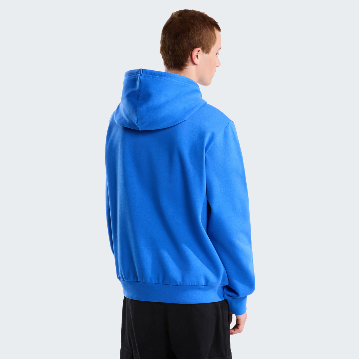 tnf_asset:NF0A8CWMNLQ-ALT3