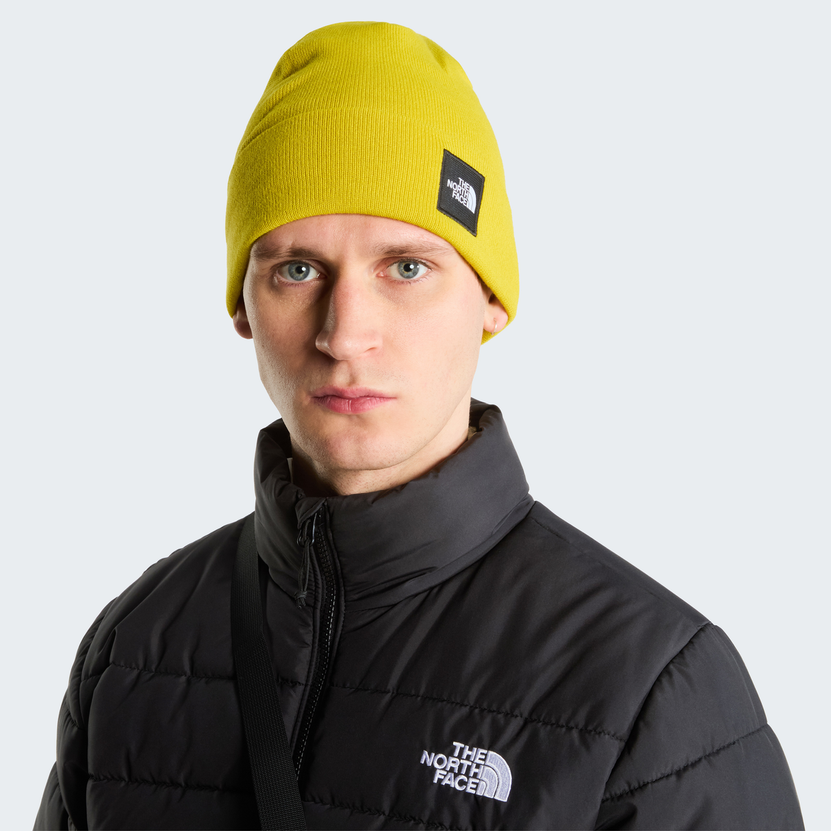 tnf_asset:NF0A8HMGNO7-ALT1