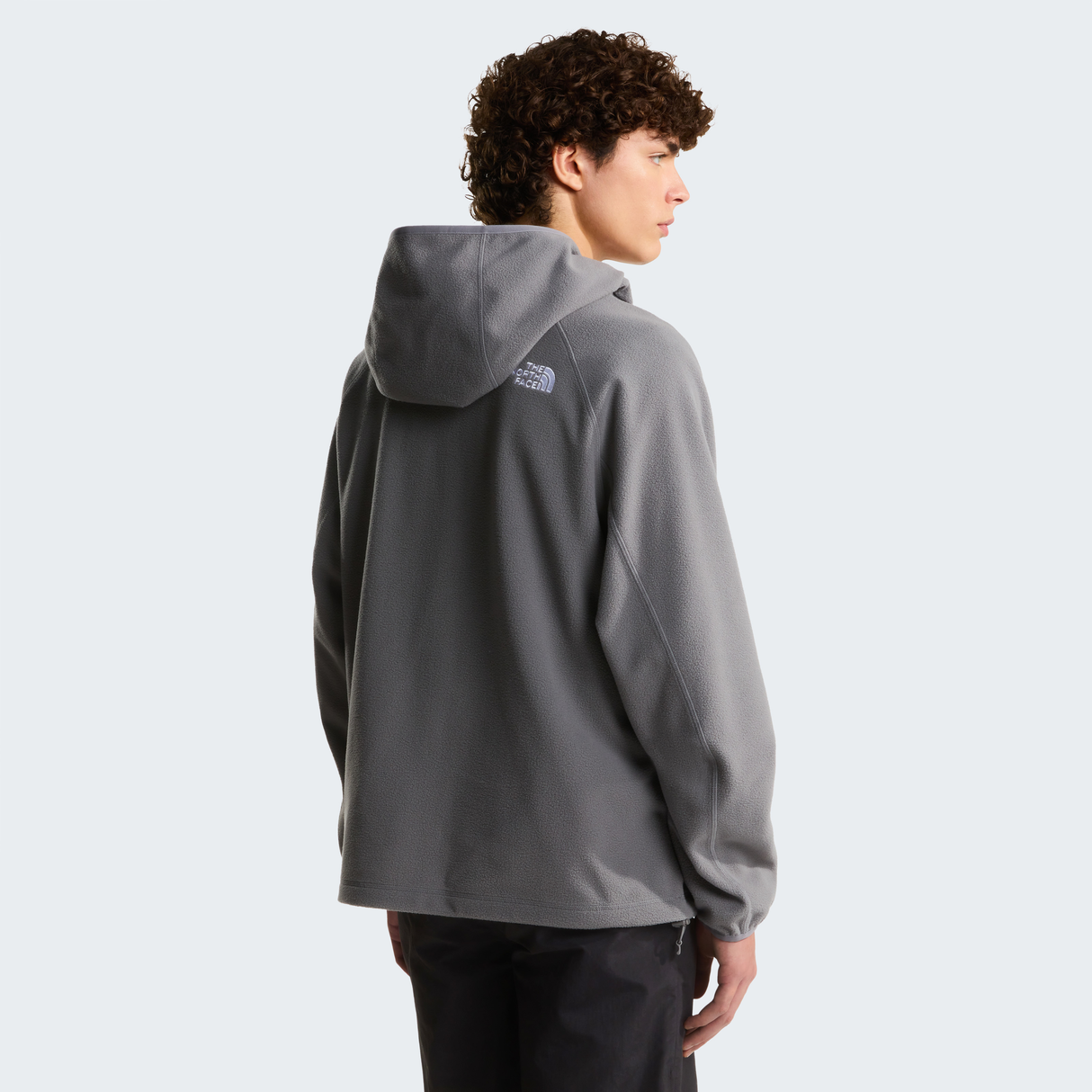 tnf_asset:NF0A8G0X0UZ-ALT3