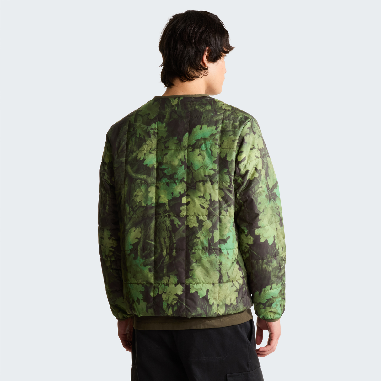 tnf_asset:NF0A8JRJSS1-ALT3