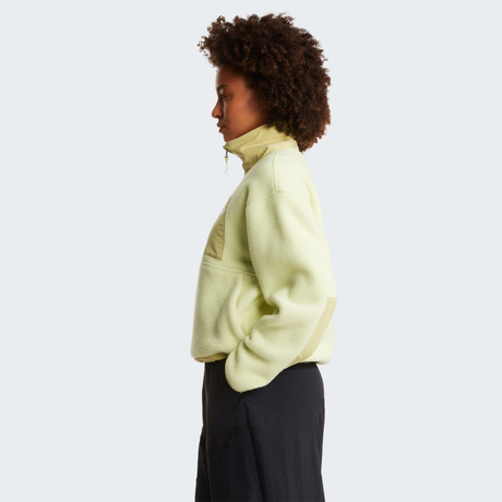 tnf_asset:NF0A8EV0GM4-ALT2