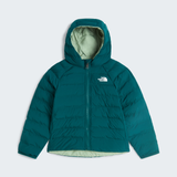 tnf_asset:NF0A88VJN4J-HERO