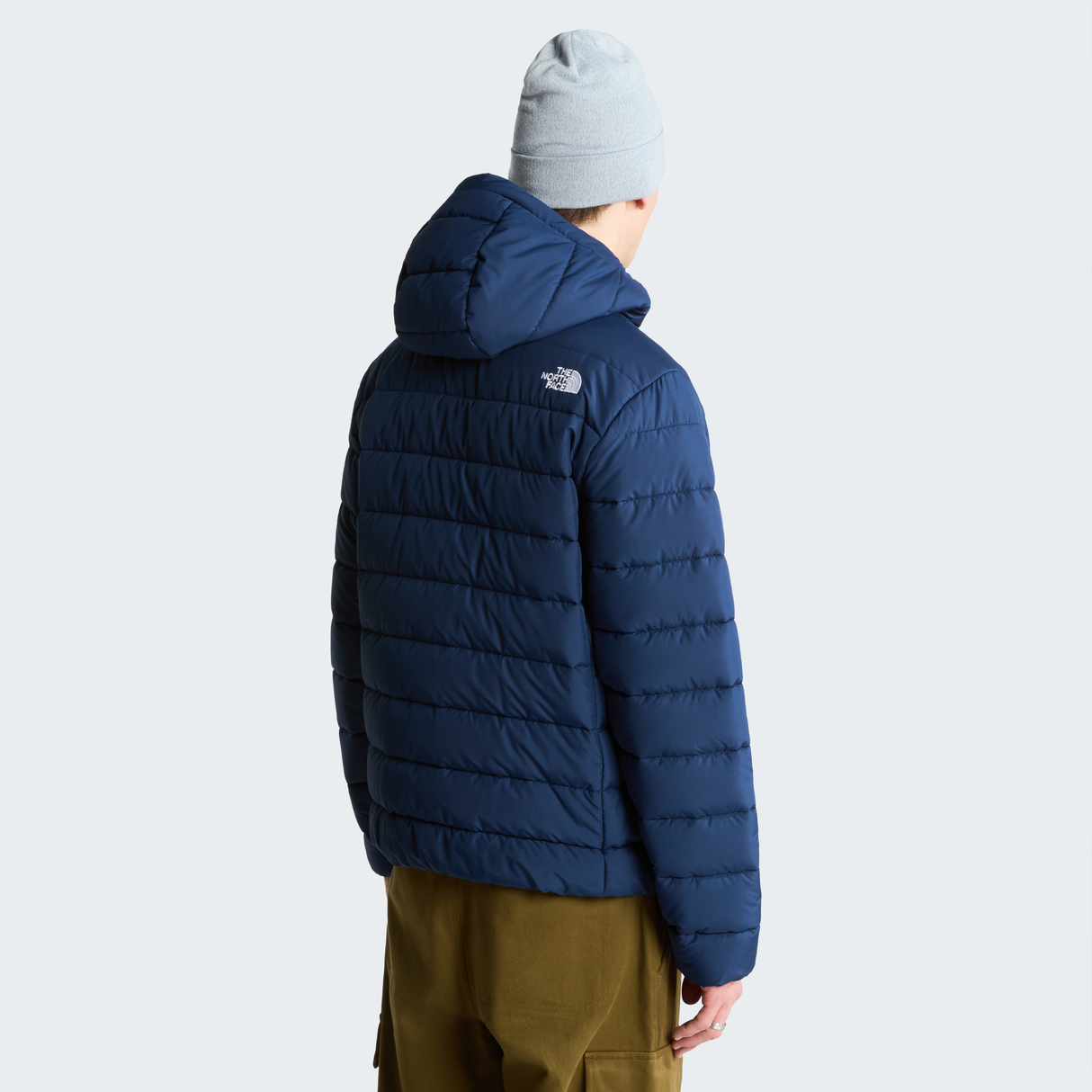 tnf_asset:NF0A8H0K8K2-ALT3