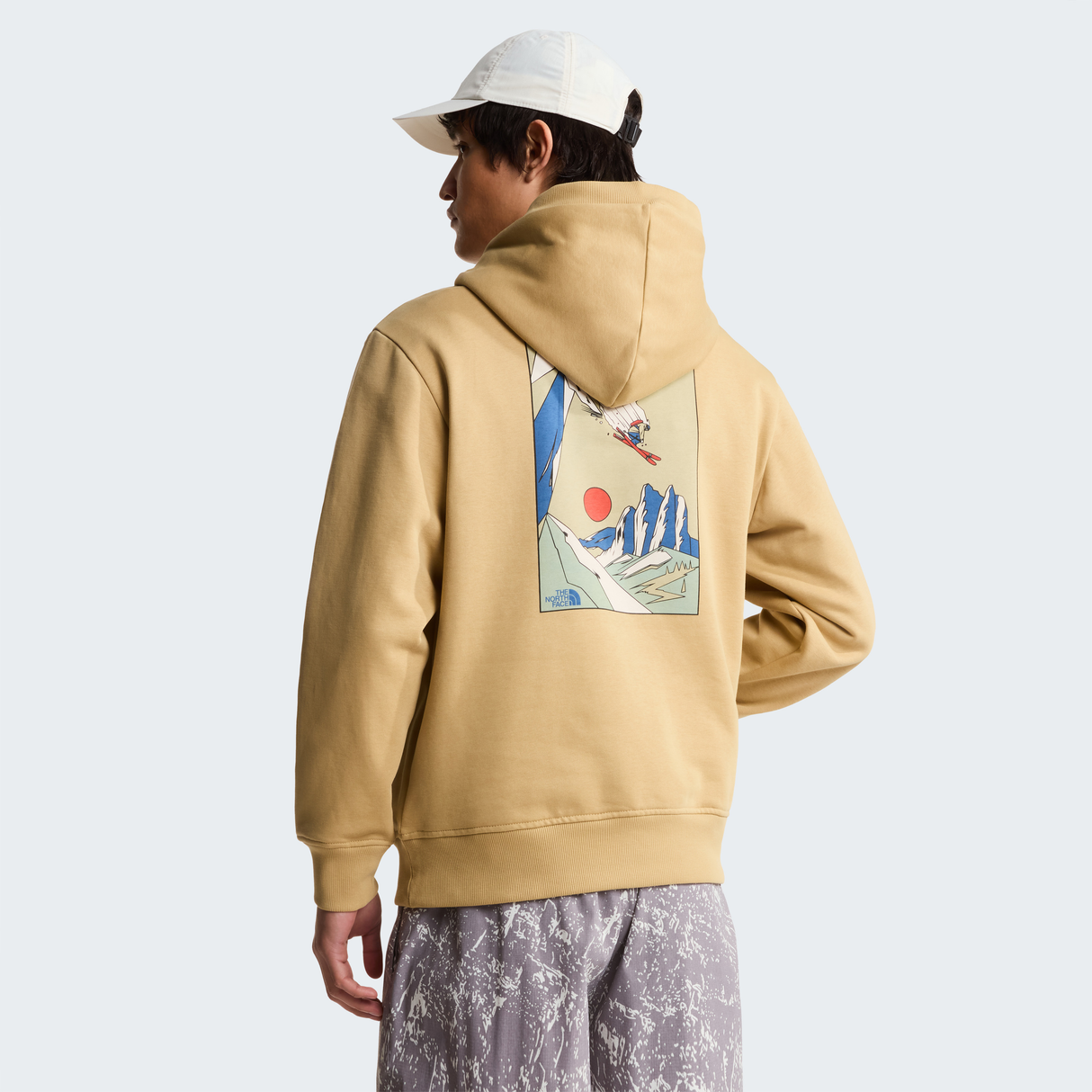 tnf_asset:NF0A8GB9LK5-ALT2