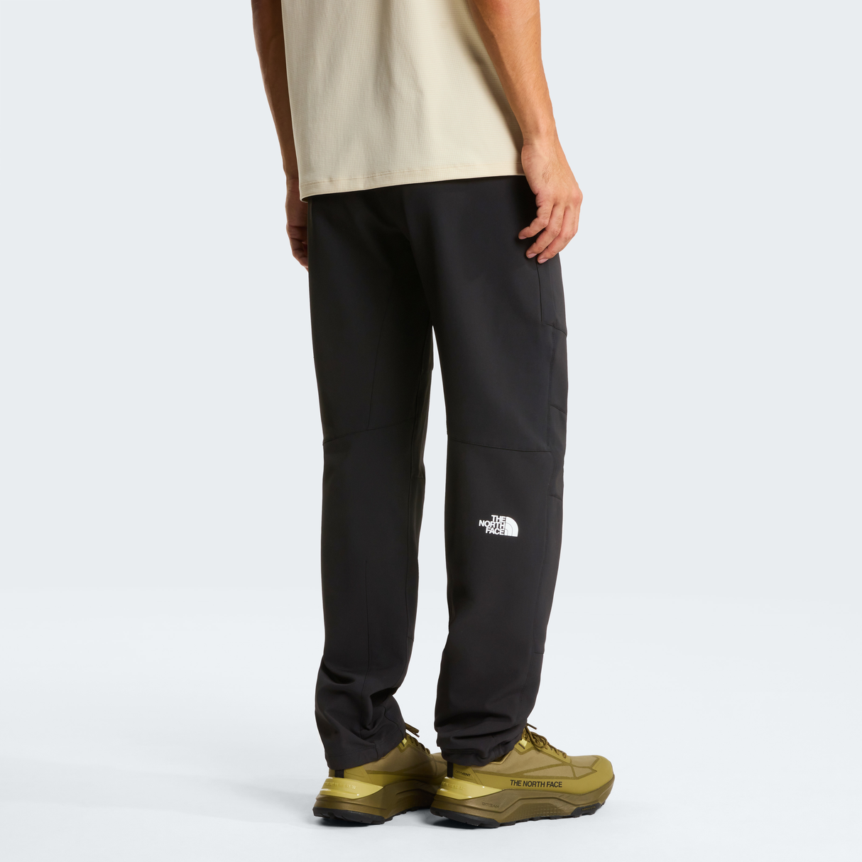 tnf_asset:NF0A7X6D4H0-ALT3