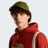 tnf_asset:NF0A4VSVBRI-ALT1