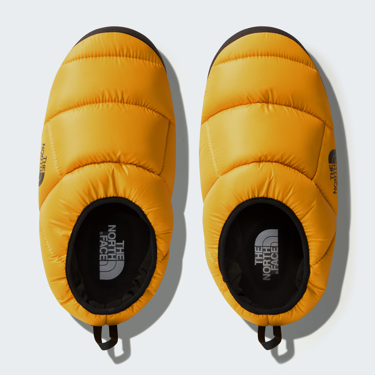 tnf_asset:NF0A8A9DZU3-ALT1