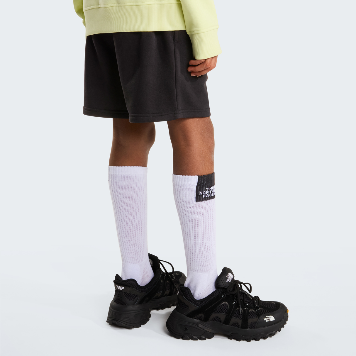 tnf_asset:NF0A8GR7JK3-ALT3
