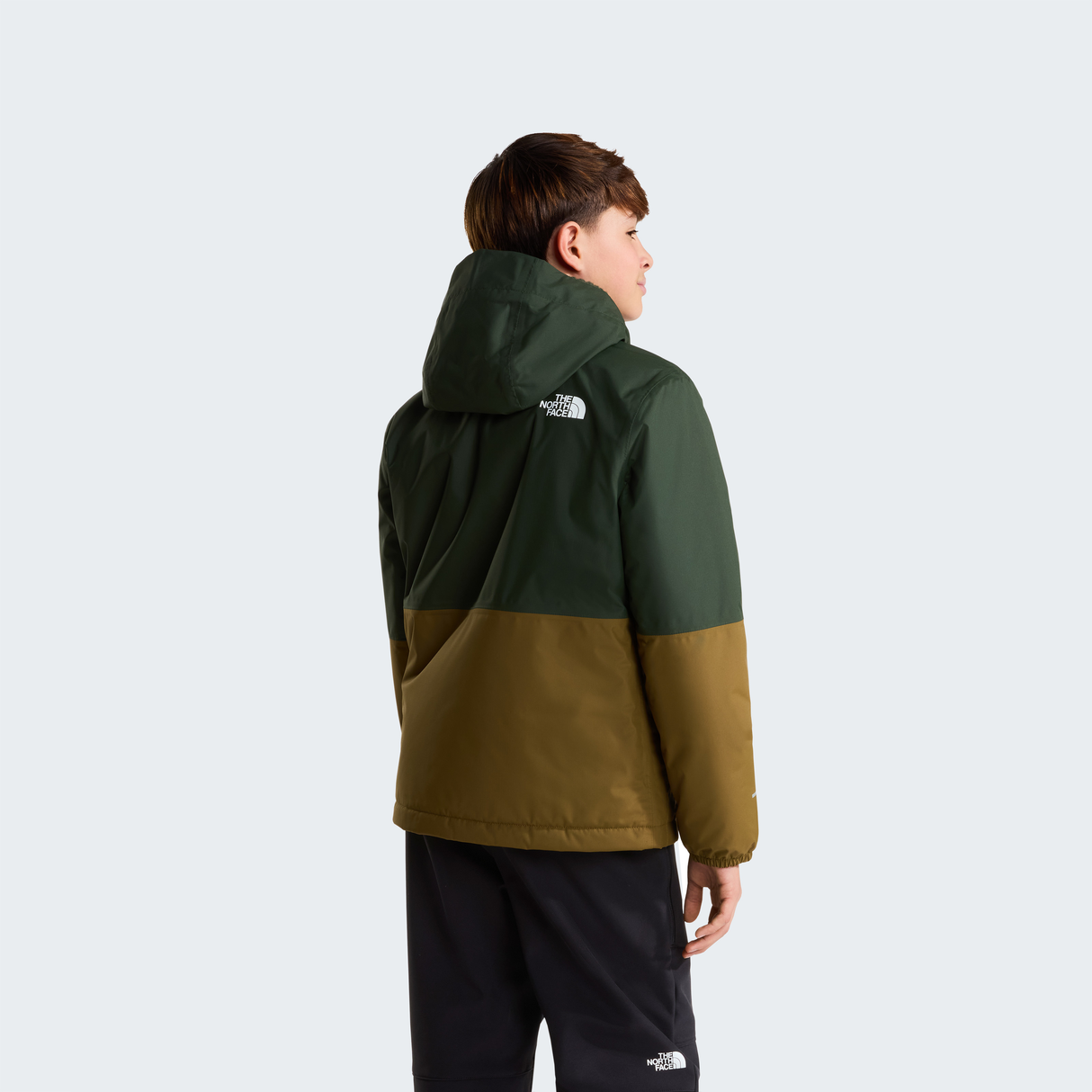 tnf_asset:NF0A873SO65-ALT3