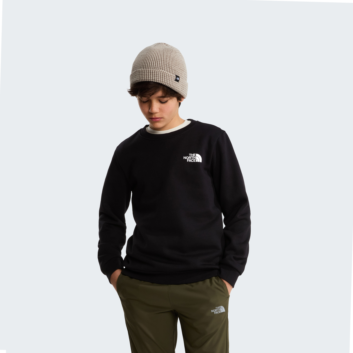 tnf_asset:NF0A8F9WJK3-ALT1