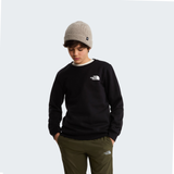 tnf_asset:NF0A8F9WJK3-ALT1